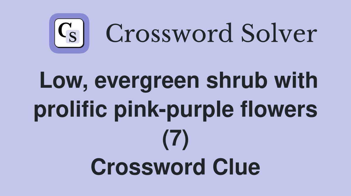 Low, evergreen shrub with prolific pinkpurple flowers (7) Crossword